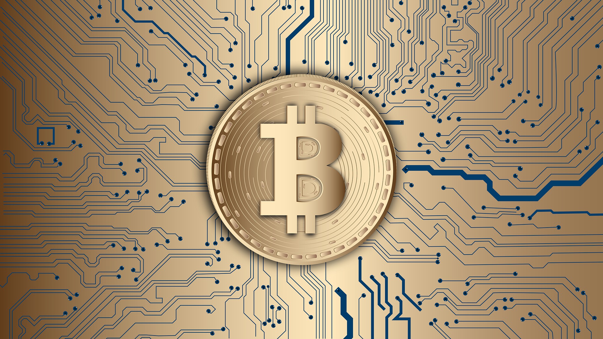 Bitcoin e ambiente: i gravi danni ambientali causati dalle criptovalute